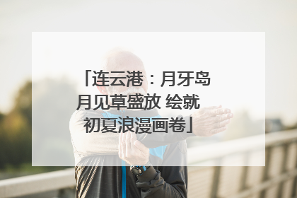 连云港：月牙岛月见草盛放 绘就初夏浪漫画卷