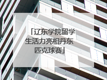 辽东学院留学生活力亮相丹东匹克球赛