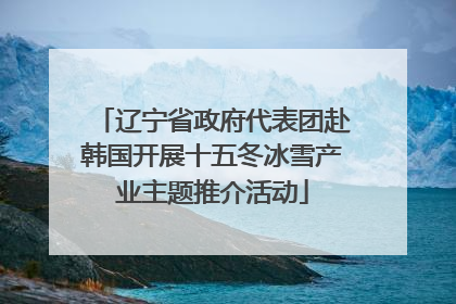 辽宁省政府代表团赴韩国开展十五冬冰雪产业主题推介活动