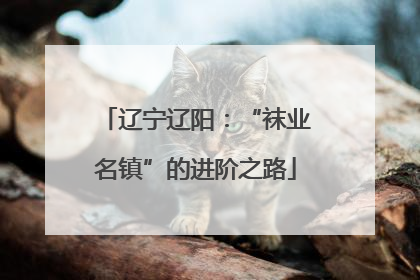 辽宁辽阳：“袜业名镇”的进阶之路