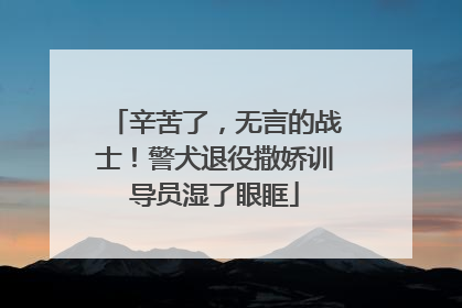 辛苦了，无言的战士！警犬退役撒娇训导员湿了眼眶