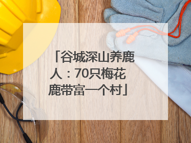 谷城深山养鹿人：70只梅花鹿带富一个村