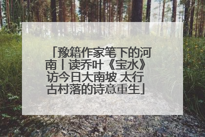 豫籍作家笔下的河南丨读乔叶《宝水》访今日大南坡 太行古村落的诗意重生