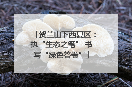 贺兰山下西夏区：执“生态之笔” 书写“绿色答卷”