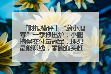 财报横评丨“蔚小理零”一季报出炉：小鹏摘得交付量冠军，理想最能赚钱，零跑迎头赶上，蔚来还在调整