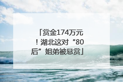 赏金174万元！湖北这对“80后”姐弟被悬赏