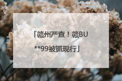 赣州严查！赣BU**99被抓现行