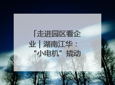 走进园区看企业｜湖南江华：“小电机”撬动“大产业”