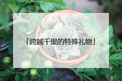 跨越千里的特殊礼物