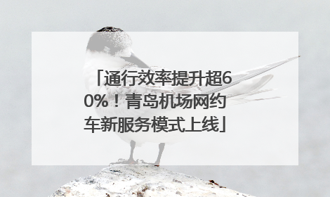 通行效率提升超60%！青岛机场网约车新服务模式上线