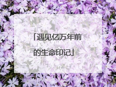 遇见亿万年前的生命印记