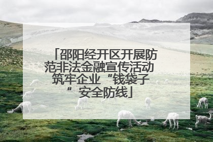 邵阳经开区开展防范非法金融宣传活动 筑牢企业“钱袋子”安全防线