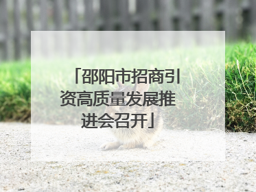 邵阳市招商引资高质量发展推进会召开