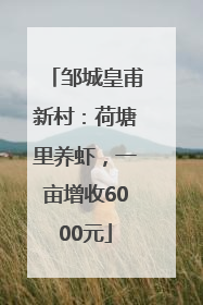 邹城皇甫新村：荷塘里养虾，一亩增收6000元