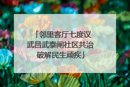 邻里客厅七度议 武昌武泰闸社区共治破解民生顽疾