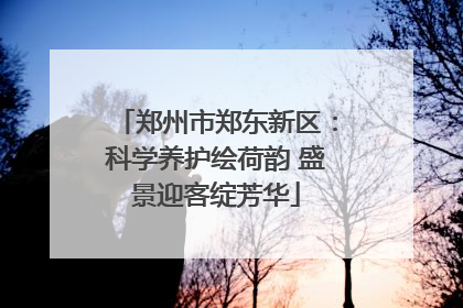 郑州市郑东新区：科学养护绘荷韵 盛景迎客绽芳华