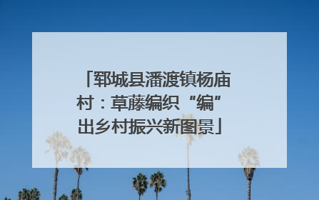 郓城县潘渡镇杨庙村：草藤编织“编”出乡村振兴新图景