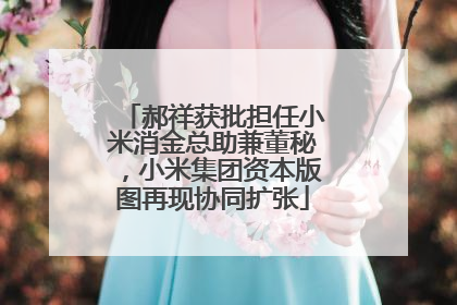 郝祥获批担任小米消金总助兼董秘，小米集团资本版图再现协同扩张