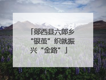 郧西县六郎乡“银茧”织就振兴“金路”