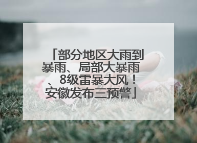 部分地区大雨到暴雨、局部大暴雨、8级雷暴大风！安徽发布三预警
