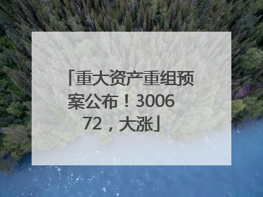重大资产重组预案公布！300672，大涨