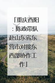 重庆酉阳：陈政带队赴山东省东营市对接东西部协作工作