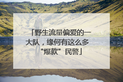 野生流量偏爱的一大队，缘何有这么多“爆款”民警