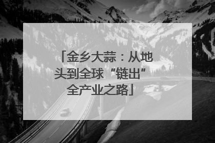 金乡大蒜：从地头到全球“链出”全产业之路