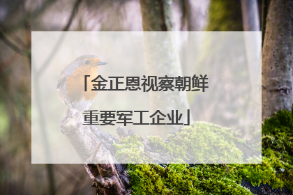 金正恩视察朝鲜重要军工企业