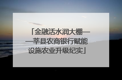 金融活水润大棚——莘县农商银行赋能设施农业升级纪实