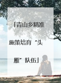 青山乡精准施策培育“头雁”队伍