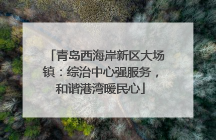 青岛西海岸新区大场镇：综治中心强服务，和谐港湾暖民心