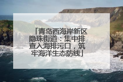 青岛西海岸新区隐珠街道：集中排查入海排污口，筑牢海洋生态防线