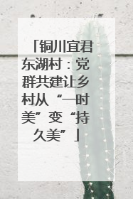 铜川宜君东湖村：党群共建让乡村从“一时美”变“持久美”