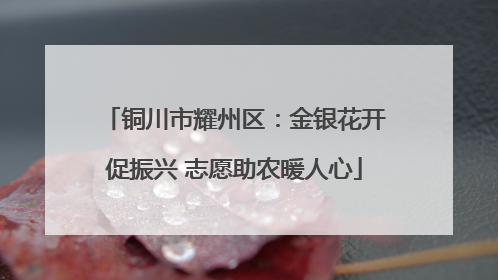 铜川市耀州区：金银花开促振兴 志愿助农暖人心