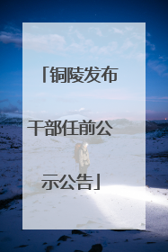 铜陵发布干部任前公示公告