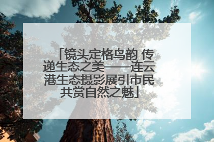 镜头定格鸟韵 传递生态之美——连云港生态摄影展引市民共赏自然之魅