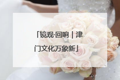 镜观·回响｜津门文化万象新
