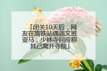 闭关10天后，网友在高铁站偶遇文班亚马，少林寺回应称其已离开寺院