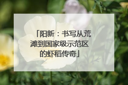 阳新：书写从荒滩到国家级示范区的虾稻传奇