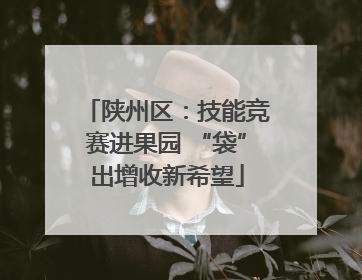 陕州区：技能竞赛进果园 “袋”出增收新希望