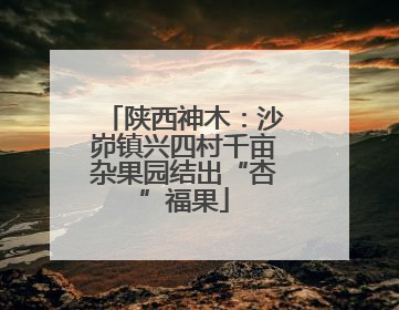 陕西神木：沙峁镇兴四村千亩杂果园结出“杏”福果
