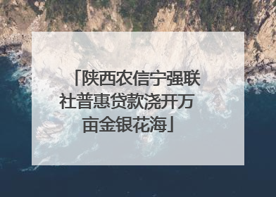 陕西农信宁强联社普惠贷款浇开万亩金银花海