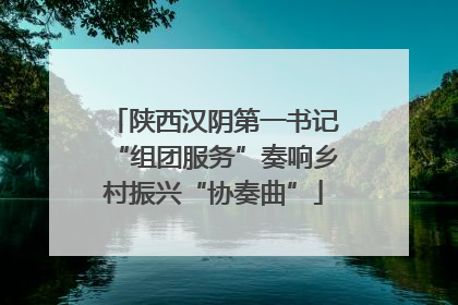 陕西汉阴第一书记“组团服务”奏响乡村振兴“协奏曲”