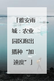雅安雨城：农业园区跑出播种“加速度”
