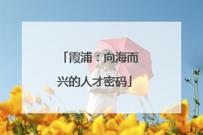 霞浦：向海而兴的人才密码