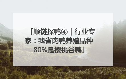 顺链探鸭④｜行业专家：我省肉鸭养殖品种80%是樱桃谷鸭