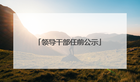 领导干部任前公示