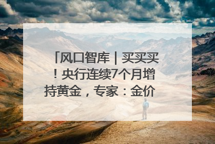 风口智库｜买买买！央行连续7个月增持黄金，专家：金价或仍易涨难跌