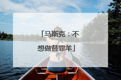 马斯克：不想做替罪羊